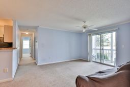 3795 Hitchcock Way  photo 4