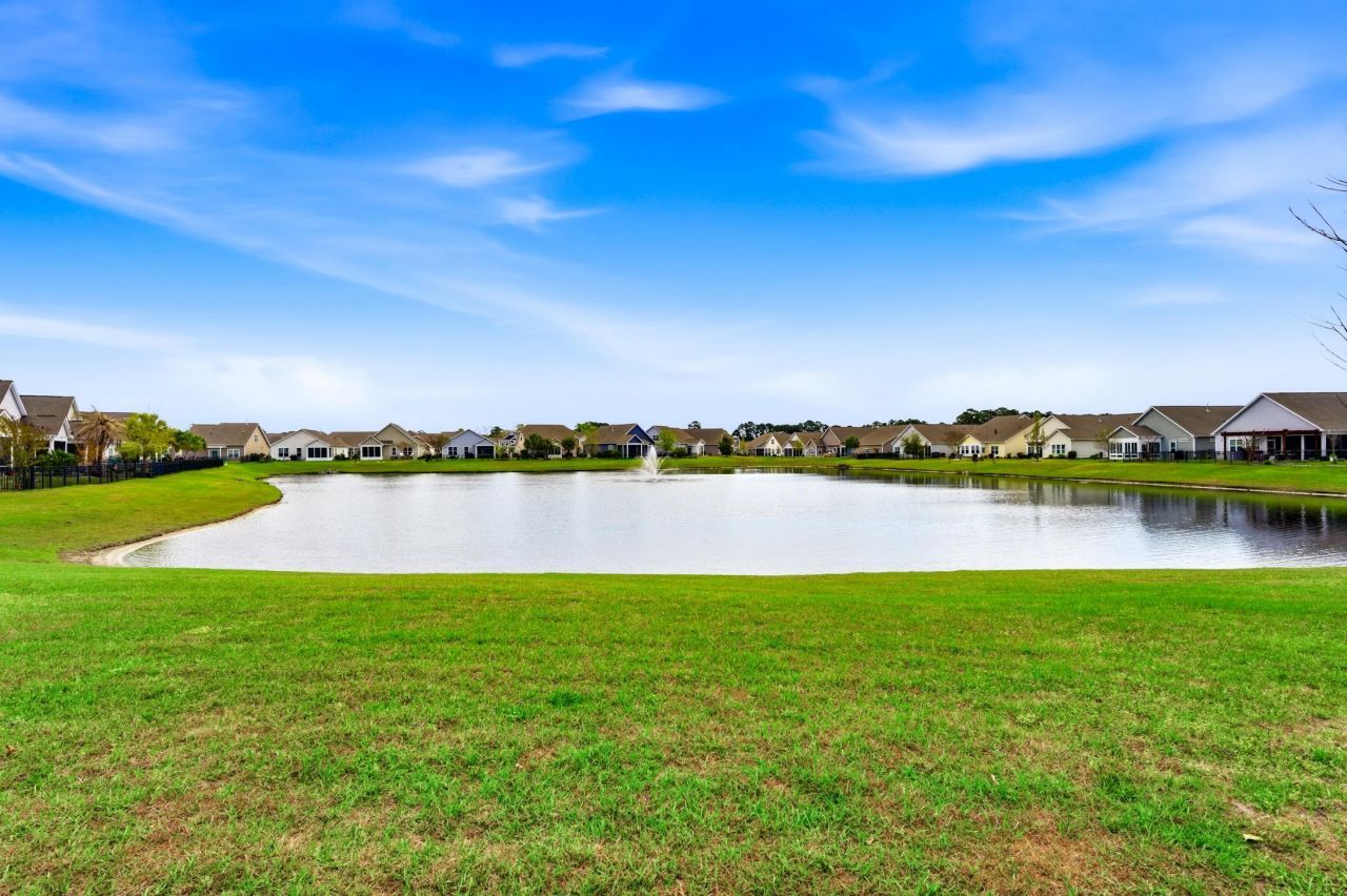 1203 Pyxie Moss Dr. Photo 30