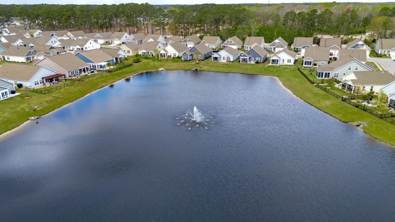 1203 Pyxie Moss Dr. Photo 4