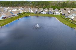 1203 Pyxie Moss Dr. photo 4