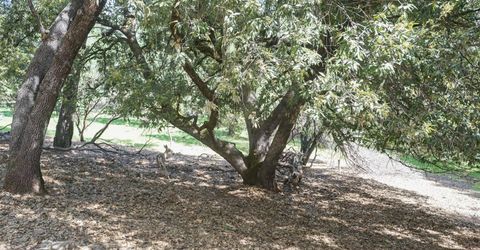 11570 Quail Ct, Pine Grove, CA 95665 Photo