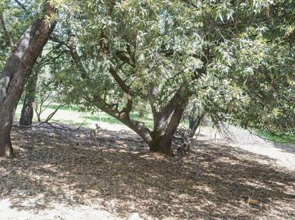 11570 Quail Ct, Pine Grove, CA 95665 Photo