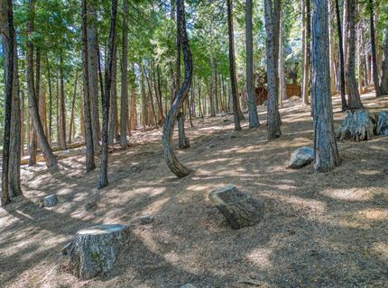 758 Yuroc, Dorrington, CA 95223 Photo