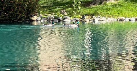 2424 Larkspur Ln #217, Unit 217, Sacramento, CA 95825 Photo