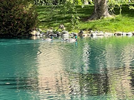 2424 Larkspur Ln #217, Unit 217, Sacramento, CA 95825 Photo