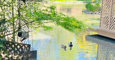 2424 Larkspur Ln #217, Unit 217, Sacramento, CA 95825 Photo