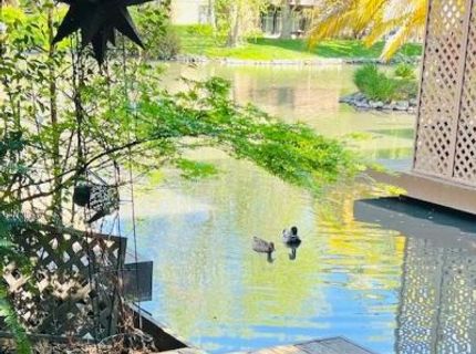 2424 Larkspur Ln #217, Unit 217, Sacramento, CA 95825 Photo