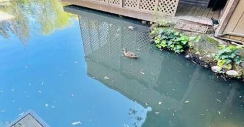 2424 Larkspur Ln #217, Unit 217, Sacramento, CA 95825 Photo