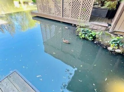 2424 Larkspur Ln #217, Unit 217, Sacramento, CA 95825 Photo