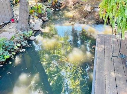 2424 Larkspur Ln #217, Unit 217, Sacramento, CA 95825 Photo