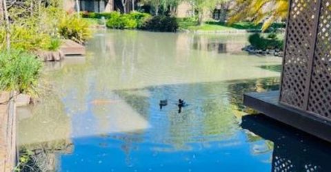 2424 Larkspur Ln #217, Unit 217, Sacramento, CA 95825 Photo