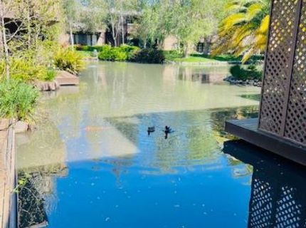 2424 Larkspur Ln #217, Unit 217, Sacramento, CA 95825 Photo