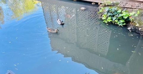 2424 Larkspur Ln #217, Unit 217, Sacramento, CA 95825 Photo