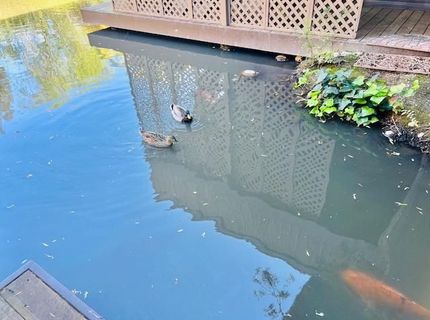 2424 Larkspur Ln #217, Unit 217, Sacramento, CA 95825 Photo