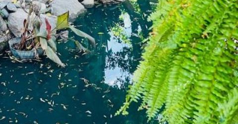 2424 Larkspur Ln #217, Unit 217, Sacramento, CA 95825 Photo