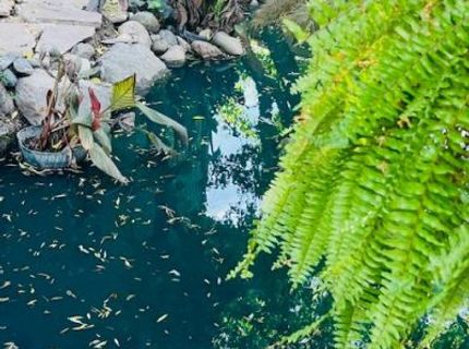 2424 Larkspur Ln #217, Unit 217, Sacramento, CA 95825 Photo