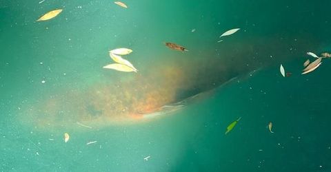 2424 Larkspur Ln #217, Unit 217, Sacramento, CA 95825 Photo