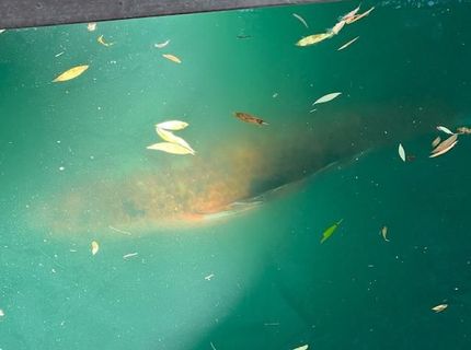 2424 Larkspur Ln #217, Unit 217, Sacramento, CA 95825 Photo