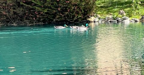 2424 Larkspur Ln #217, Unit 217, Sacramento, CA 95825 Photo