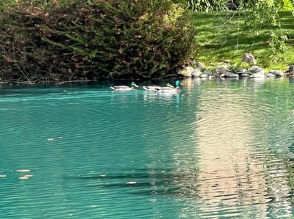 2424 Larkspur Ln #217, Unit 217, Sacramento, CA 95825 Photo