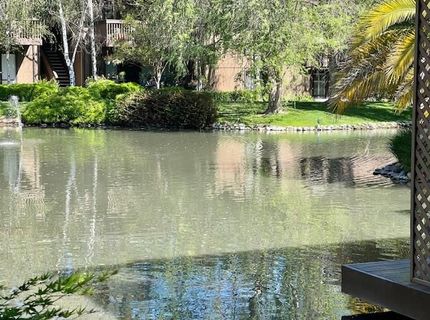 2424 Larkspur Ln #217, Unit 217, Sacramento, CA 95825 Photo