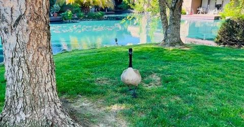 2424 Larkspur Ln #217, Unit 217, Sacramento, CA 95825 Photo