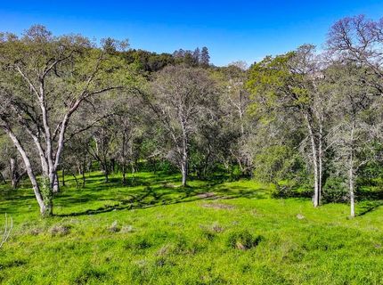 310 Raphael Ct, El Dorado Hills, CA 95762 Photo