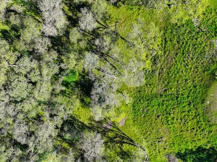 310 Raphael Ct, El Dorado Hills, CA 95762 Photo