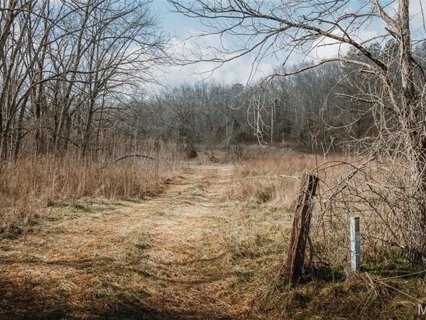 000 County Road 404, Tract 3, Ellington, MO 63638