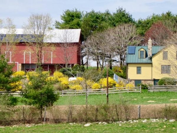 1095 TEXTER MOUNTAIN ROAD , ROBESONIA, PA 19551