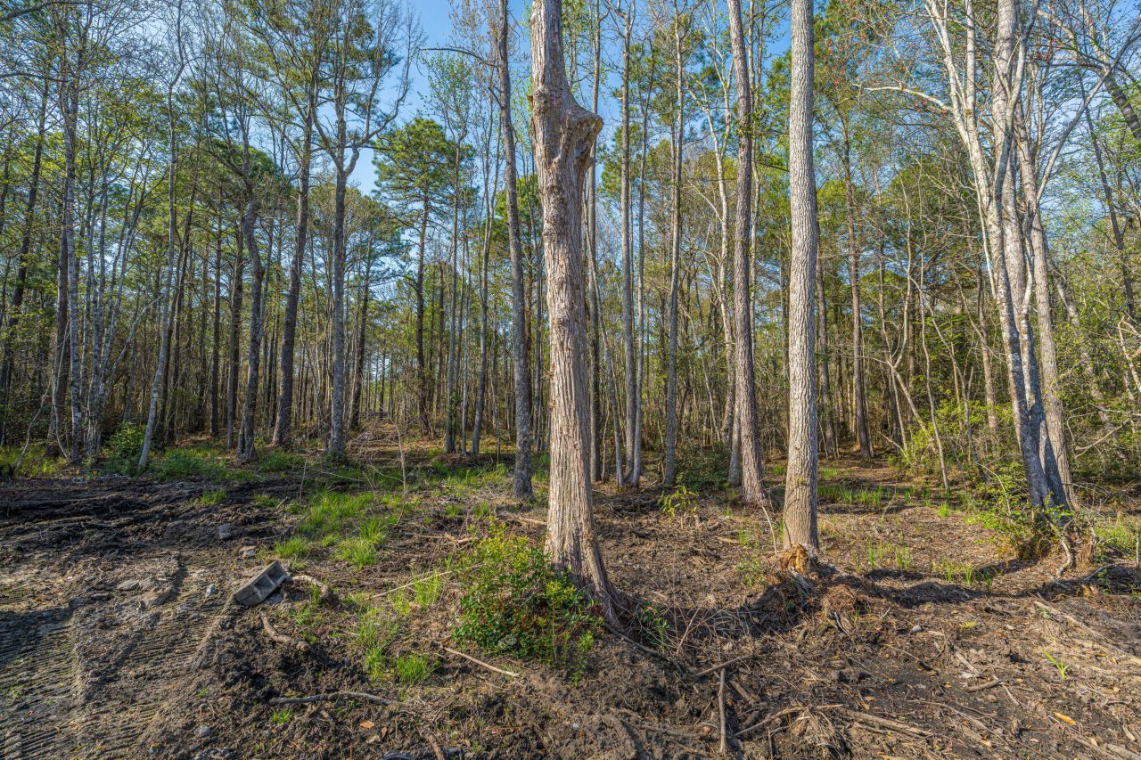 808 Society Road Photo 10