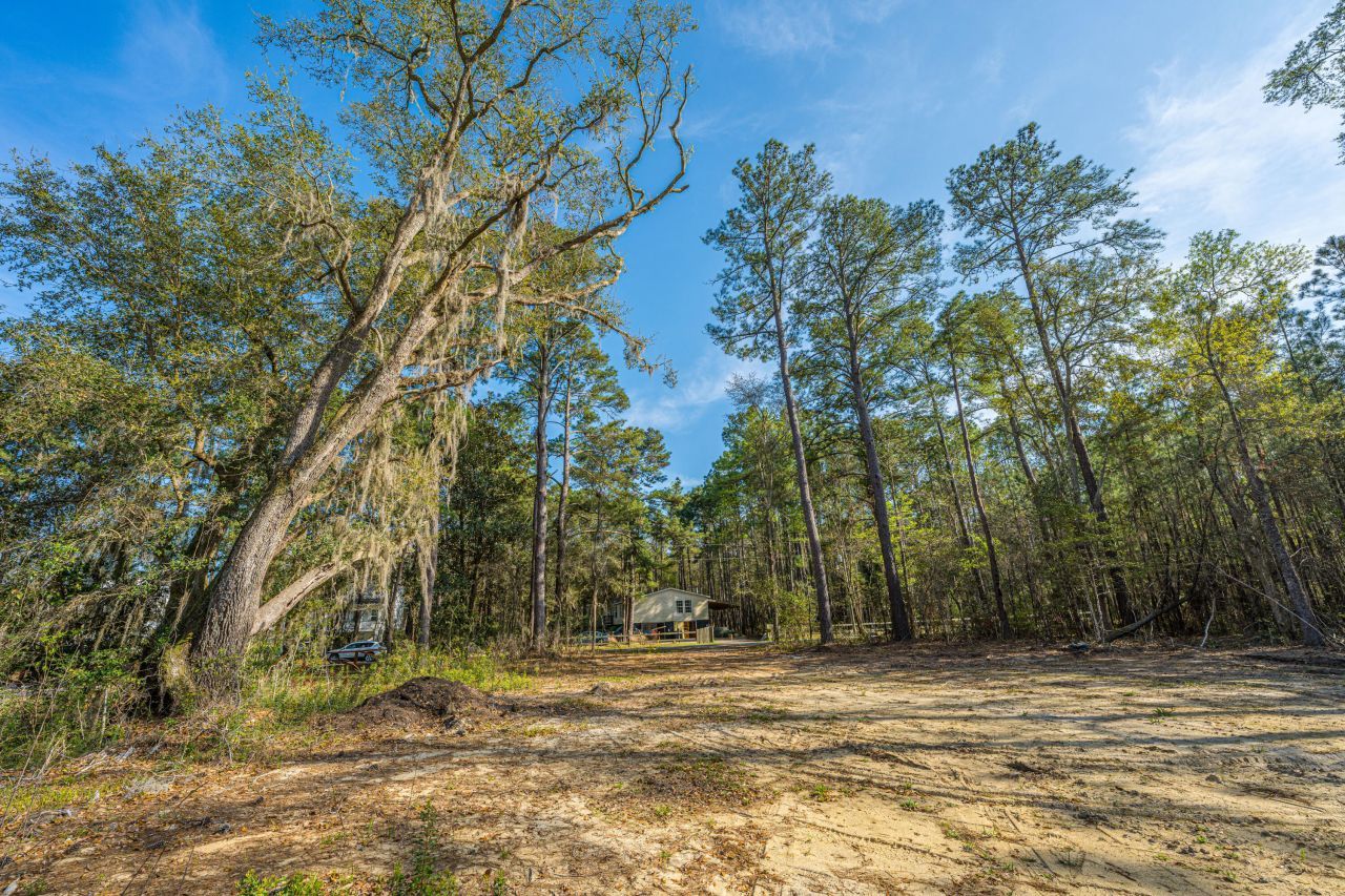 808 Society Road Photo 12