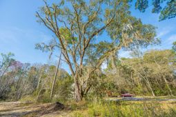 808 Society Road photo 4