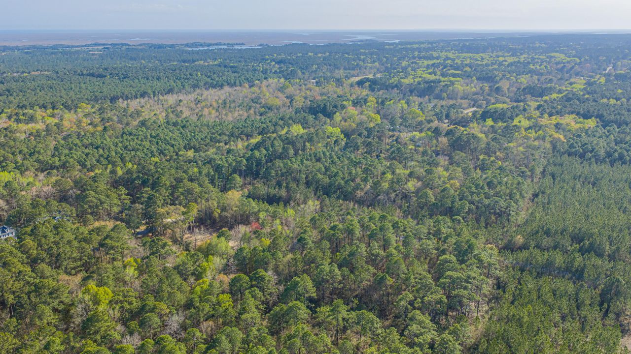 808 Society Road Photo 33