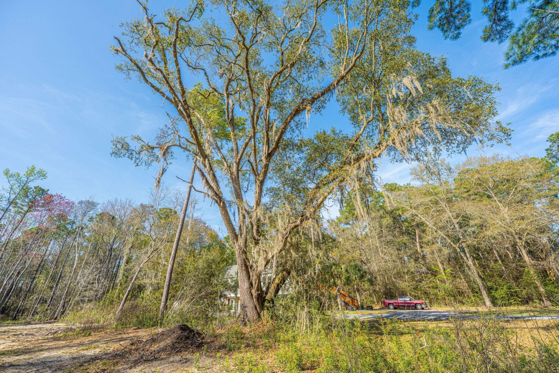 808 Society Road Photo 4