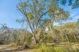 808 Society Road photo 4