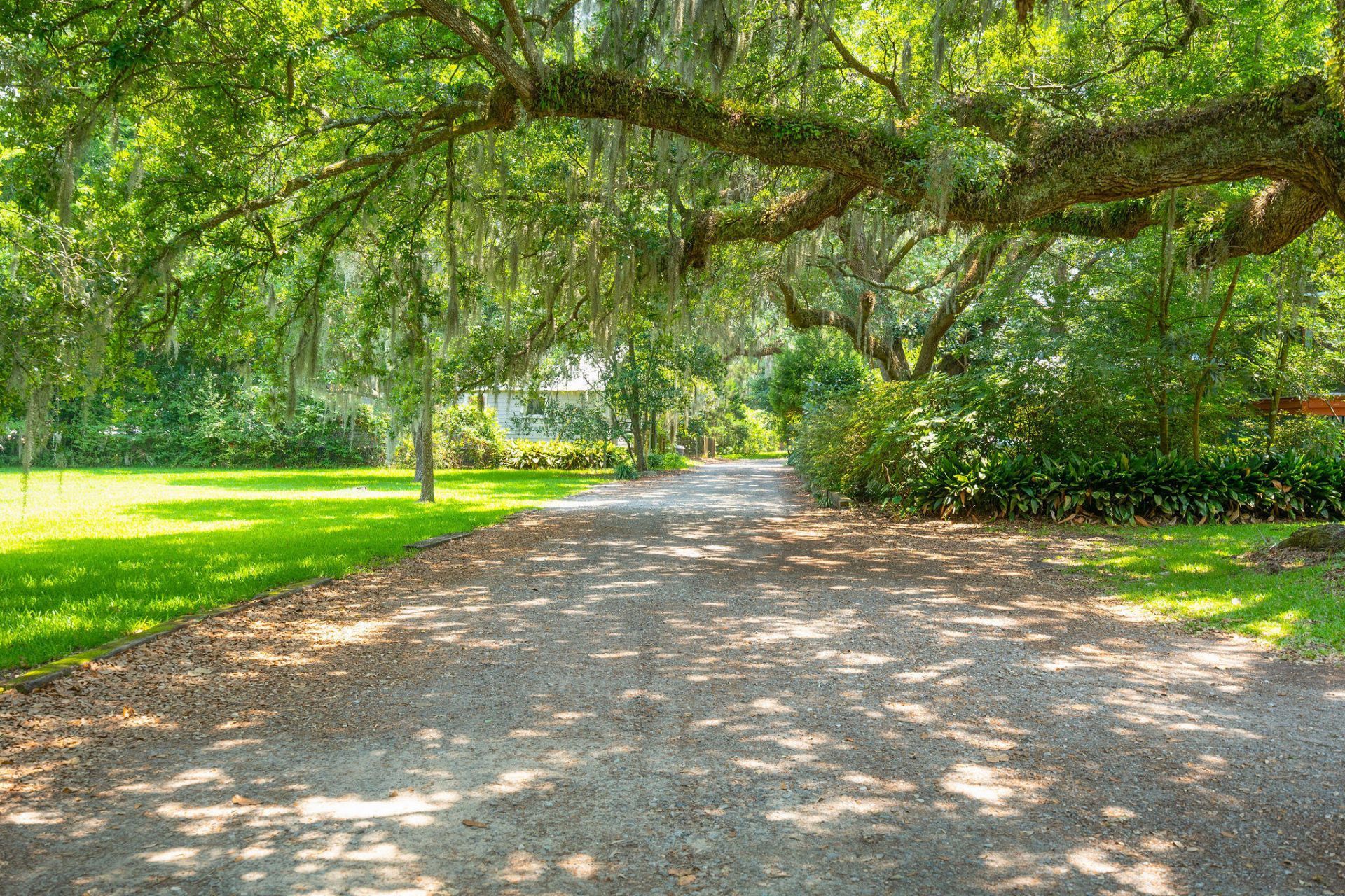 808 Society Road Photo 45