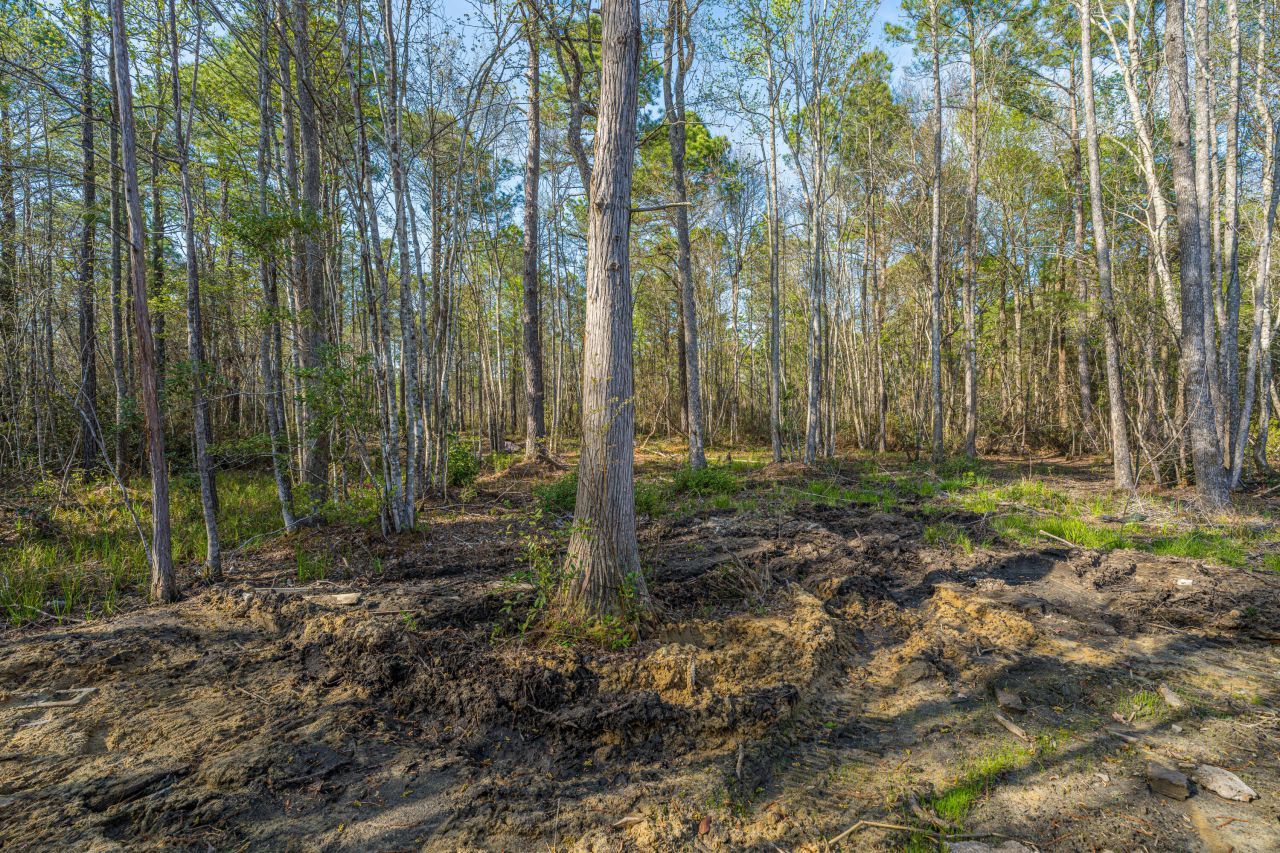 808 Society Road Photo 7