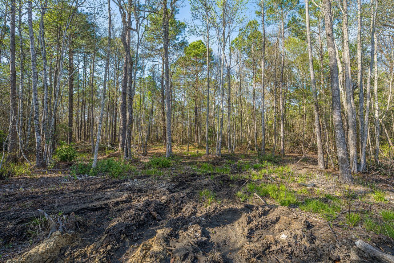 808 Society Road Photo 8