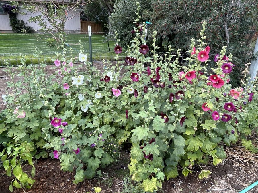 Property Image 50