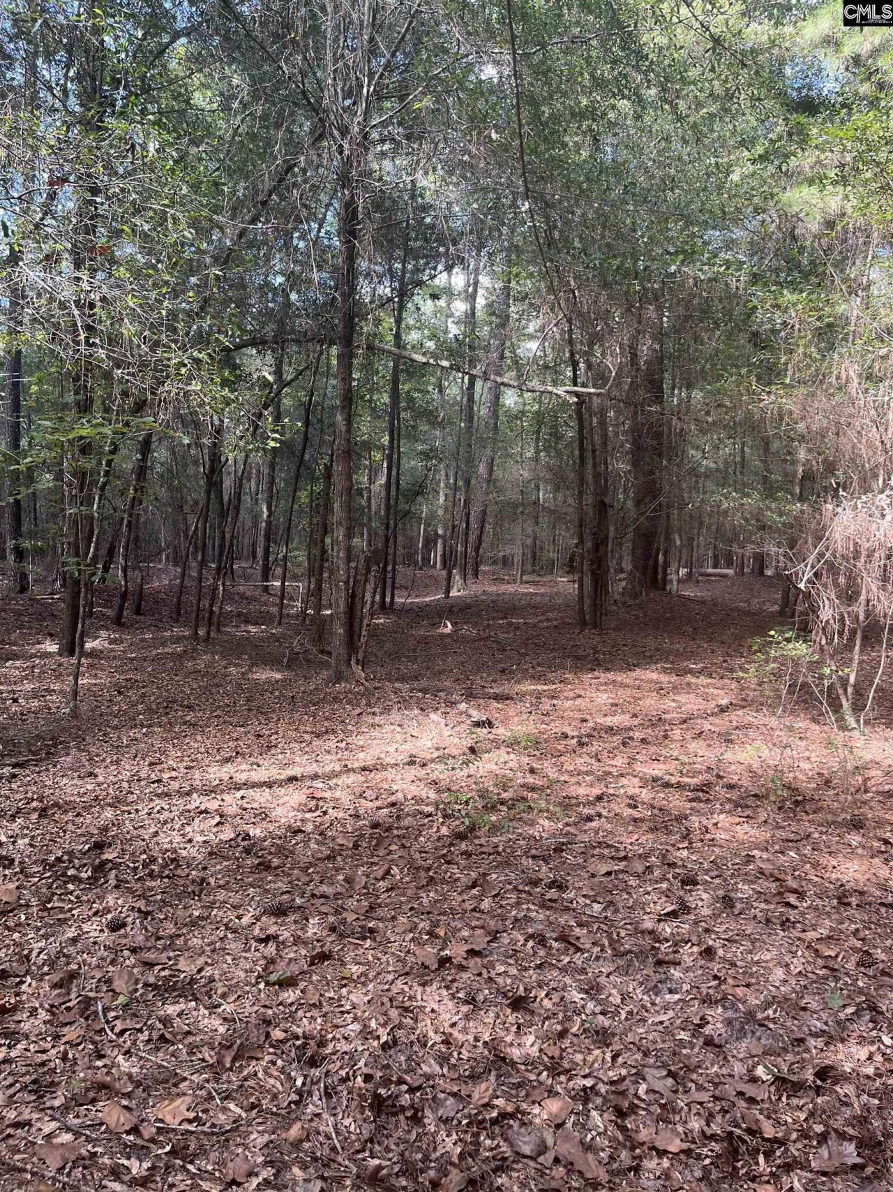 Tbd Festival Trail Road Photo 10