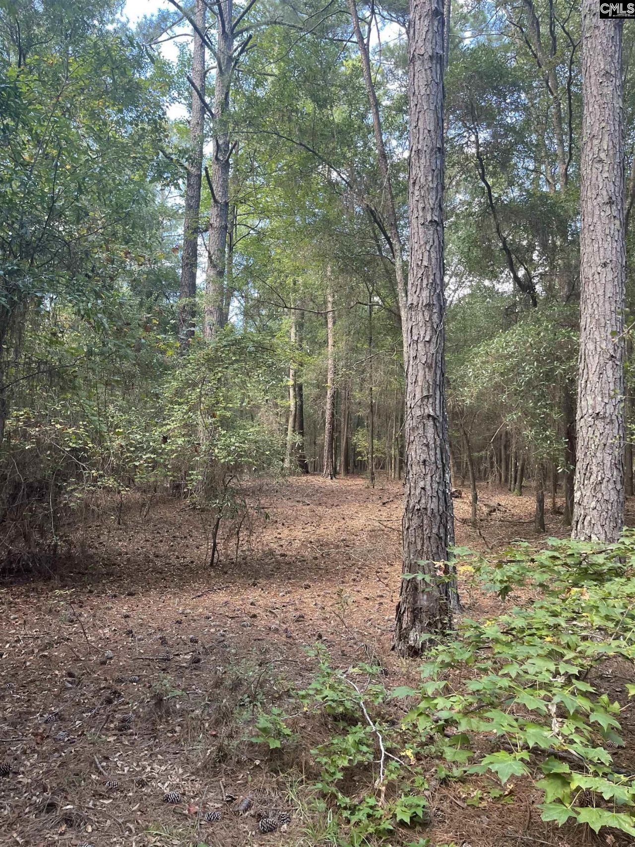 Tbd Festival Trail Road Photo 11