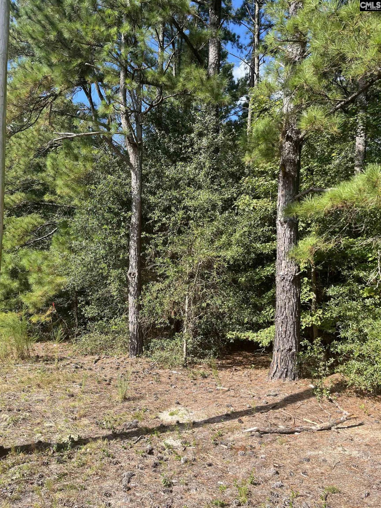 Tbd Festival Trail Road Photo 12