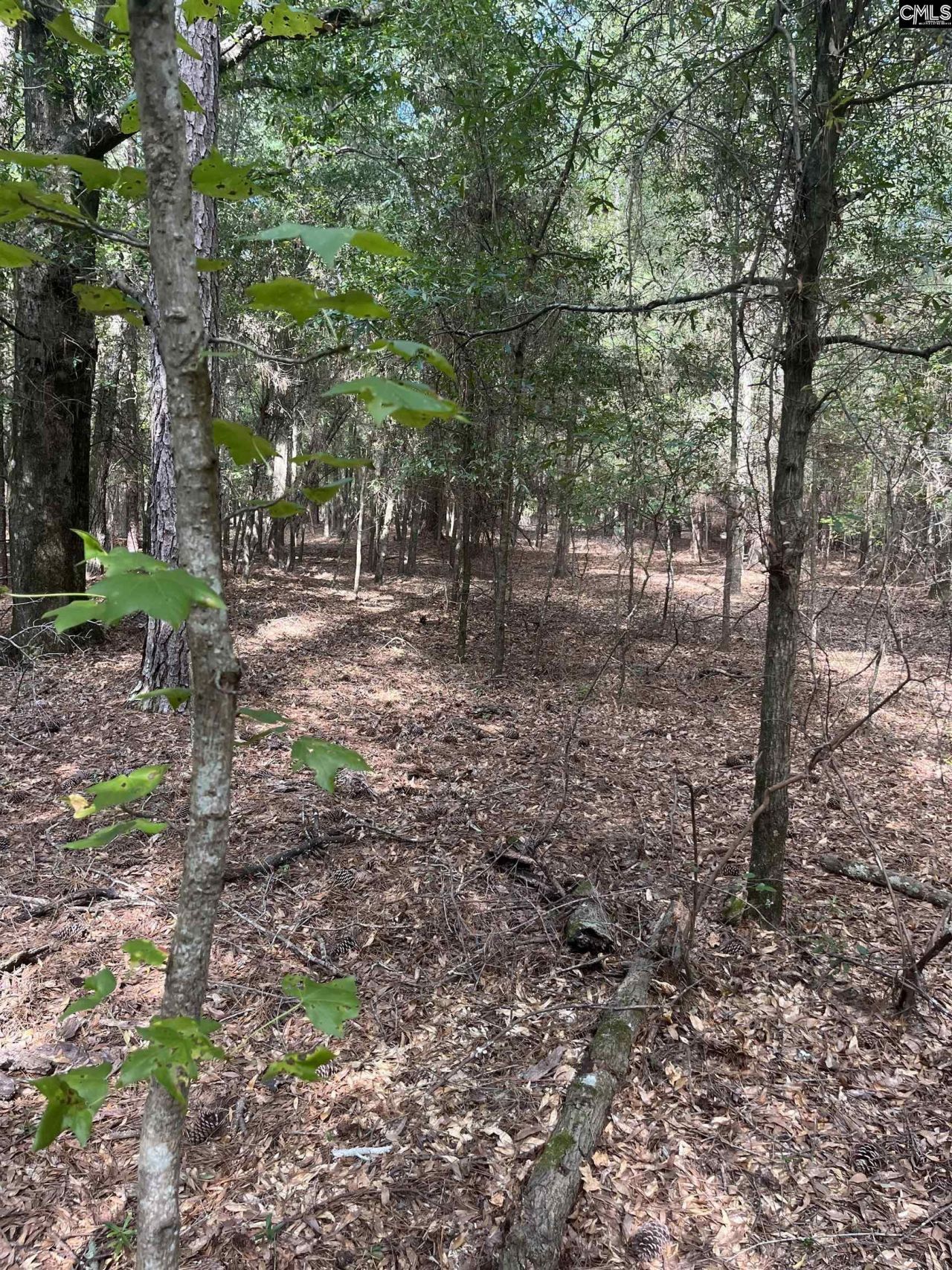 Tbd Festival Trail Road Photo 13