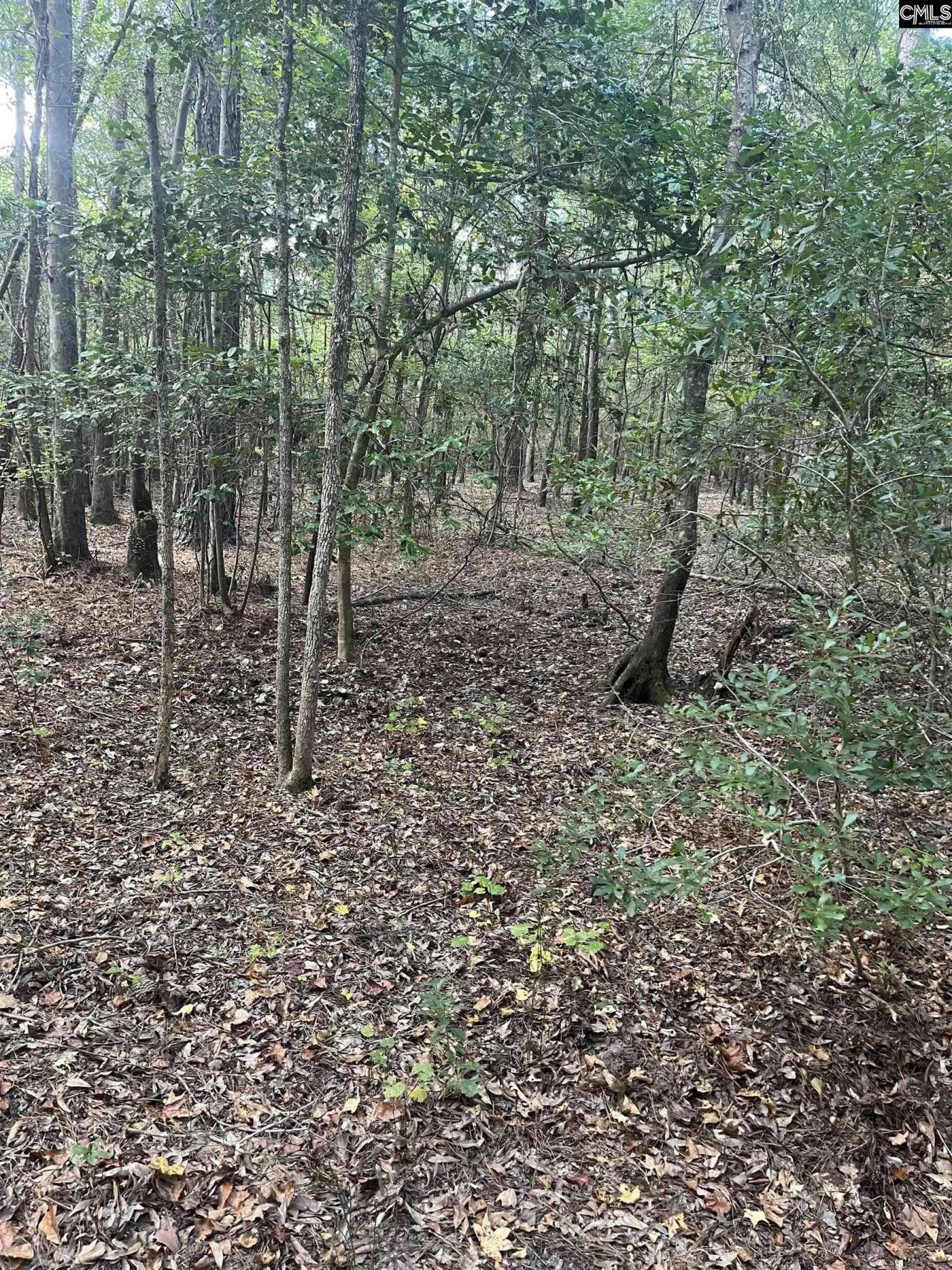 Tbd Festival Trail Road Photo 14