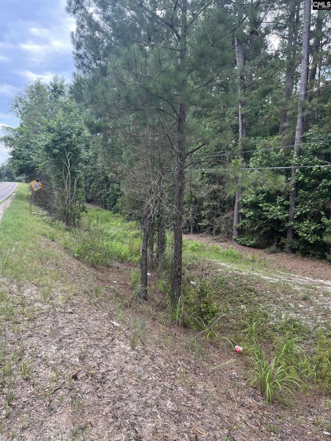 Tbd Festival Trail Road Photo 4