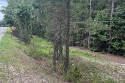 Tbd Festival Trail Road photo 4