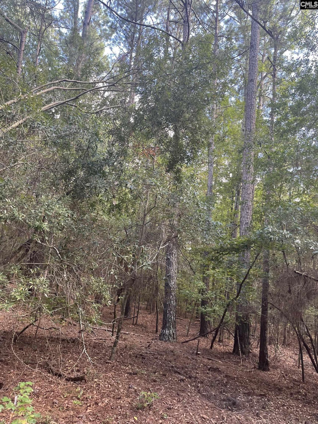 Tbd Festival Trail Road Photo 8