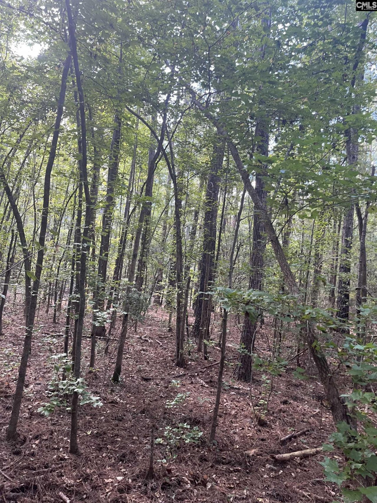 Tbd Festival Trail Road Photo 9