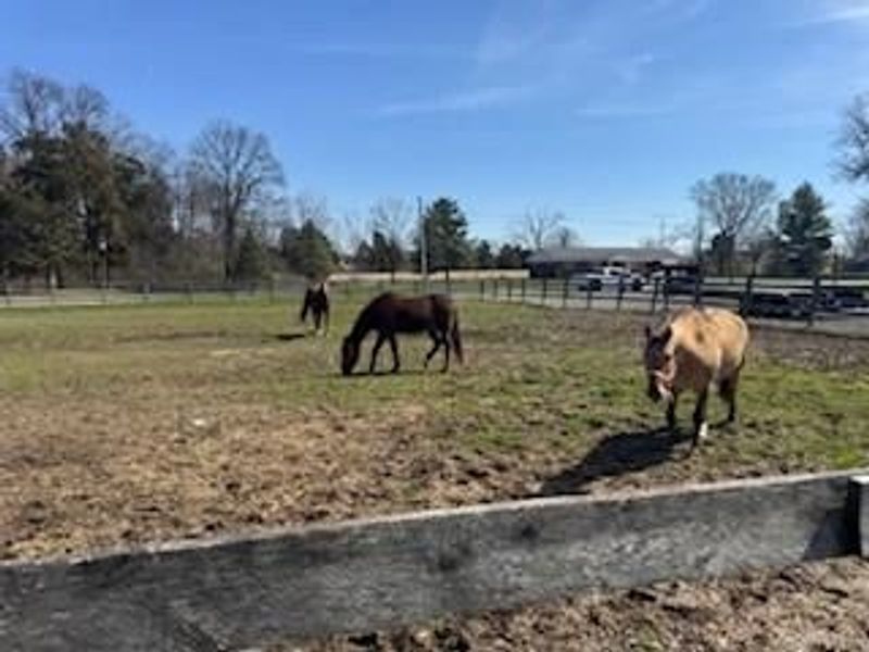 8631 Preble County Line Road, Gratis Township, OH 45327 Photo 60